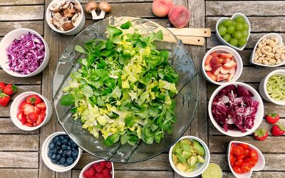 Os benefícios do vegetarianismo para o meio ambiente
